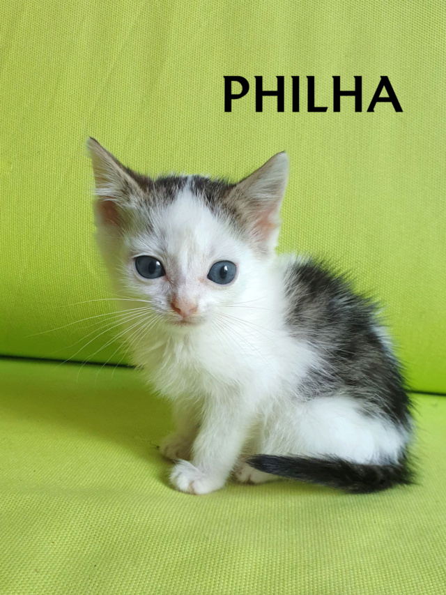 Philha