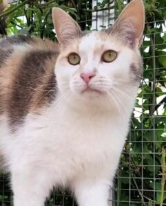 Betty