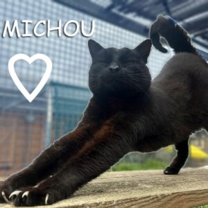 Michou