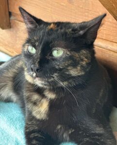 Kiara