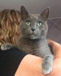 Zola