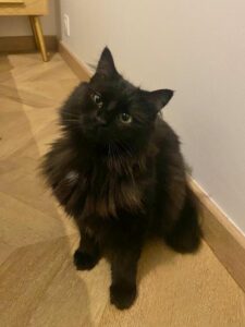 Tina